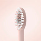 Ordo Sonic+ Toothbrush Rose Gold