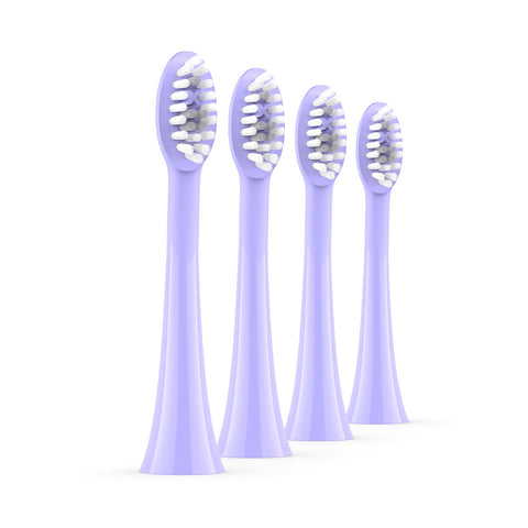 Toothbrush Heads