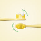 Ordo Sonic Kids Battery - Brush Heads - Squishmallows Wanda - 2 Pack