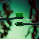 Ordo Sonic Brush Heads - Wicked Elphaba Thropp - Sonic Lite - 4 Pack