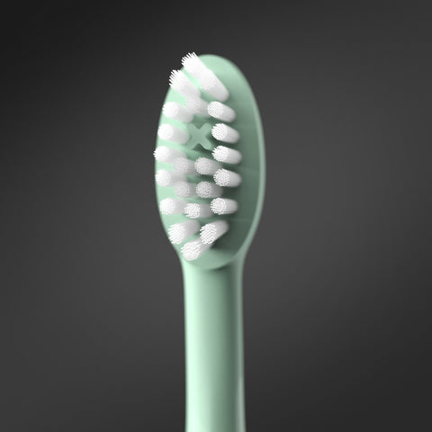 Ordo Sonic+ Toothbrush & Charging Travel Case - Mint Green