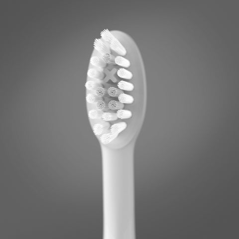 Ordo Sonic+ Toothbrush & Charging Travel Case - White