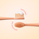 Ordo Sonic Kids Battery Toothbrush - Squishmallows Apollo