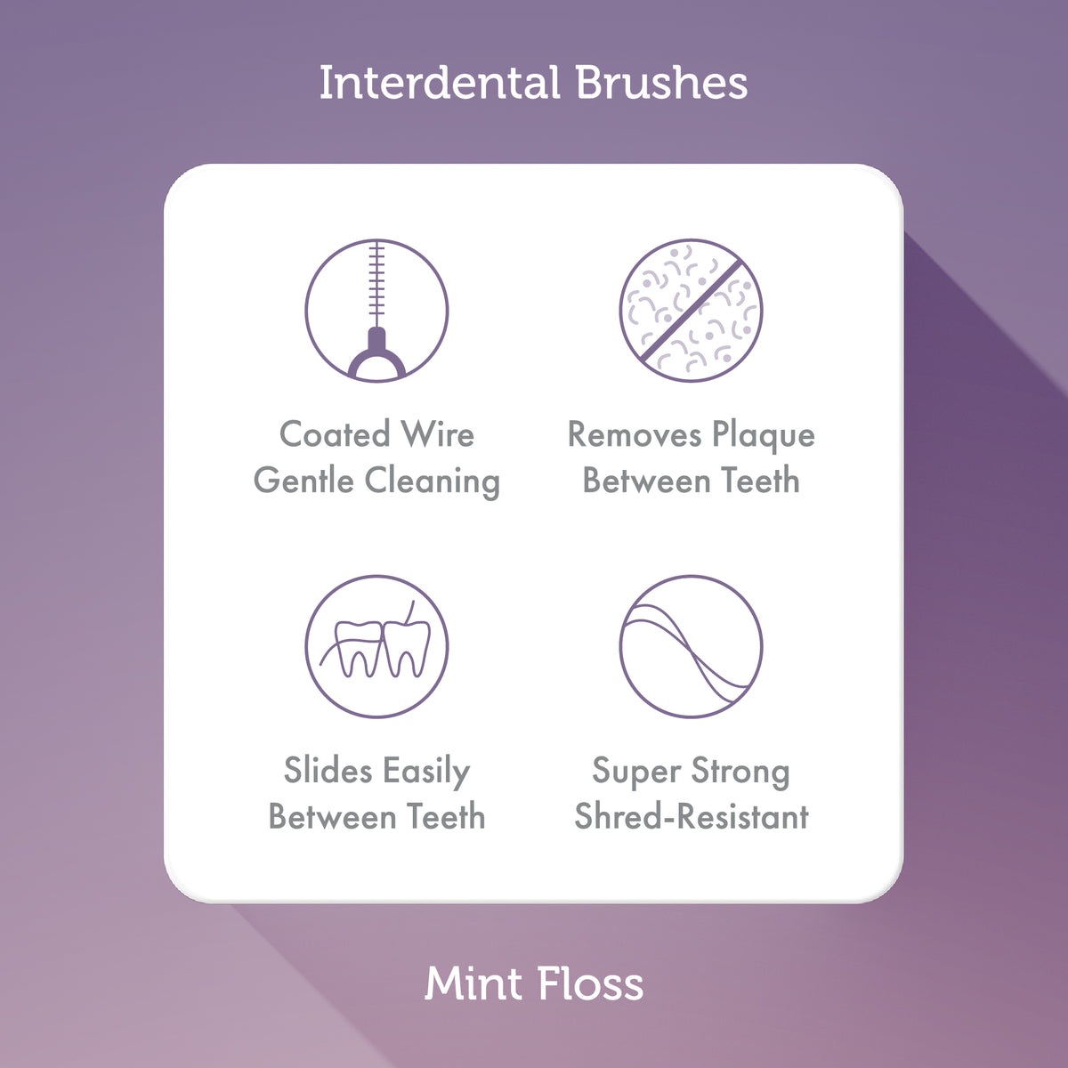 Ordo Complete Oral Care Starter Kit