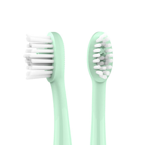 Ordo Sonic Brush Head Mint Green | Sage 2x