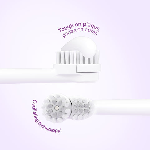 Ordo Oscillating Kids Battery Toothbrush - Squishmallows Daxxon