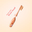 Ordo Sonic Kids Battery Toothbrush - Squishmallows Apollo