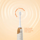 Ordo Sonic Kids Rechargeable Toothbrush - Squishmallows Pumpkin Cam