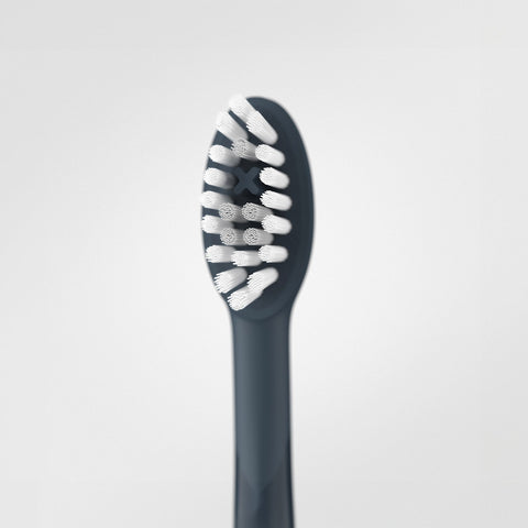 Superior rounded bristles