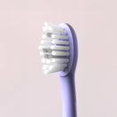 Ordo Sonic+ Toothbrush & Hydro Sonic Water Flosser - Pearl Violet