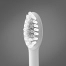 Ordo Sonic+ Toothbrush & Hydro Sonic+ Water Flosser - White
