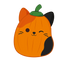 Pumpkin Cam