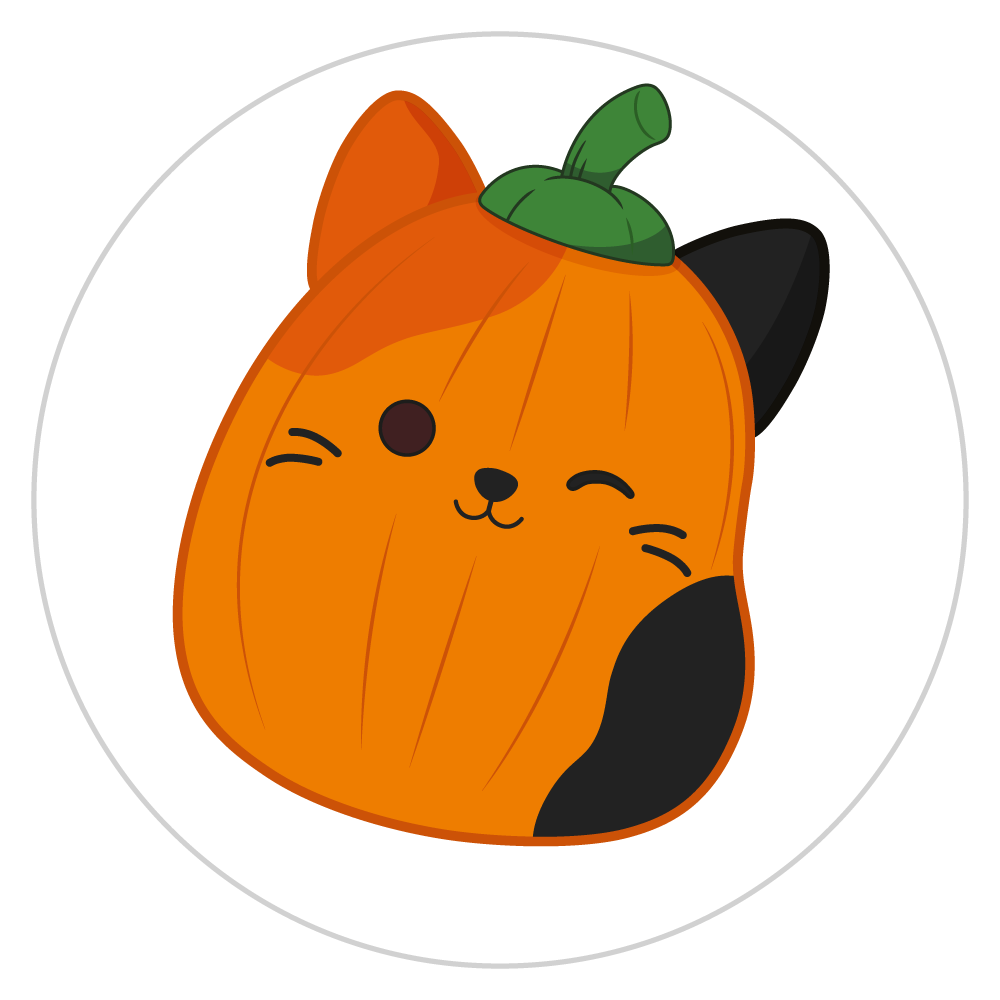 Pumpkin Cam selected