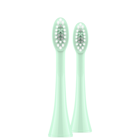 Ordo Sonic Brush Head Mint Green | Sage 2x