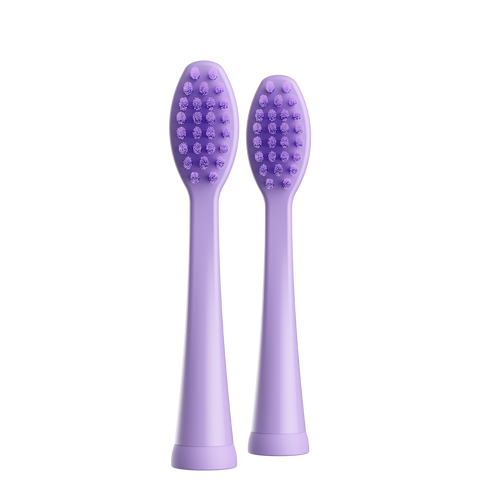 Ordo Sonic Kids Battery - Brush Heads - Squishmallows Daxxon - 2 Pack