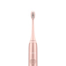 Ordo Sonic+ Toothbrush & 4x Brush Head Bundle - Rose Gold