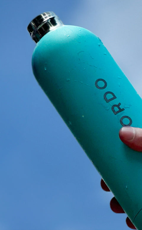 ORDO Water Bottle