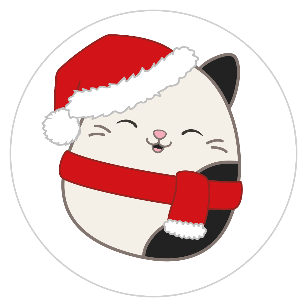 Christmas Cam selected