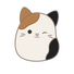 Cam