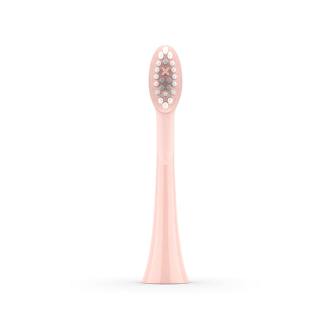 ORDO Sonic toothbrush heads