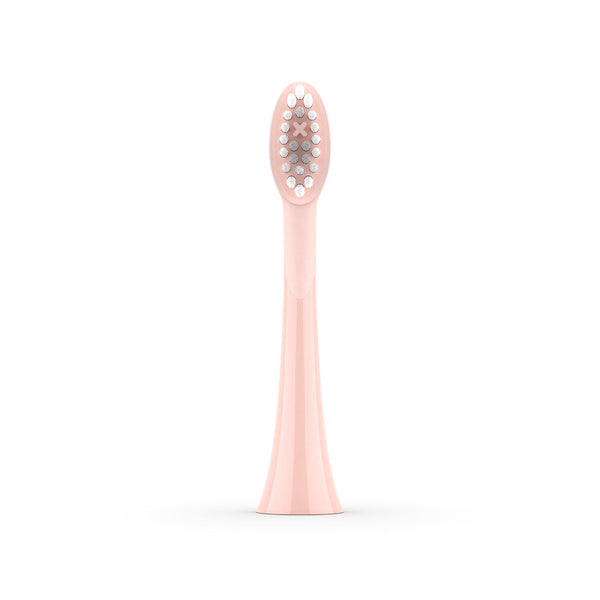 Ordo Sonic Brush Head Replacement Rose Replacement Toothbrush Head
