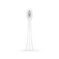 Ordo White Sonic+ Brush Head